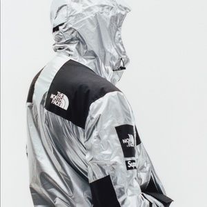 Supreme x The North Face Metallic Mountain Parka